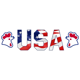 USA Chicken & Pizza logo.